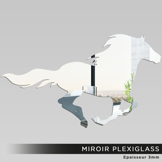 Acrylic Mirror - Horse