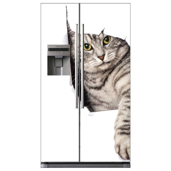 American Fridge Stickers - Cat