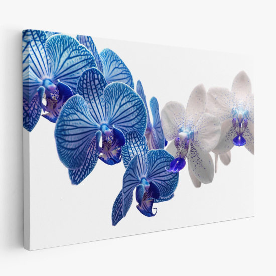 Canvas Print - Blue Orchids