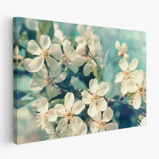 Canvas Print - Cherry Blossoms