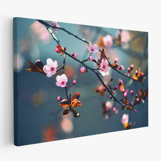 Canvas Print - Cherry Blossoms