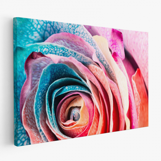 Canvas Print - Colored rose