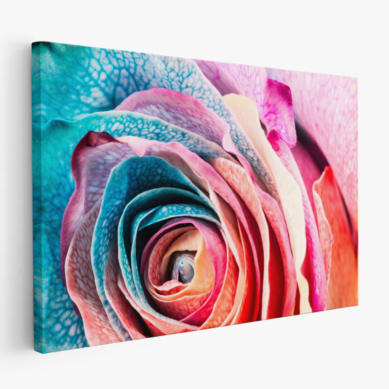 Canvas Print - Colored rose