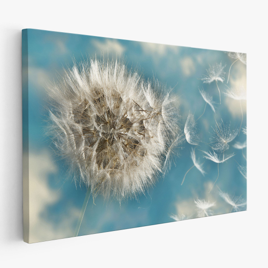 Canvas Print - Dandelion