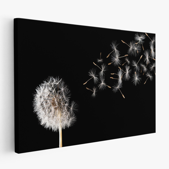 Canvas Print - Dandelion