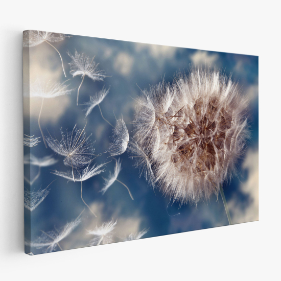 Canvas Print - Dandelion