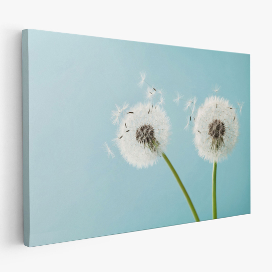 Canvas Print - Dandelions