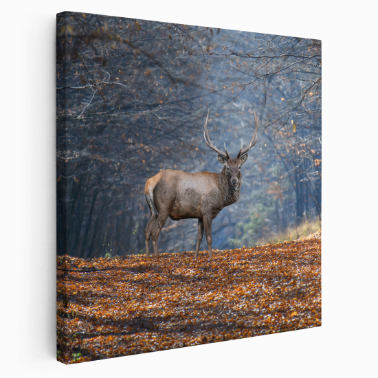 Canvas Print - Deer