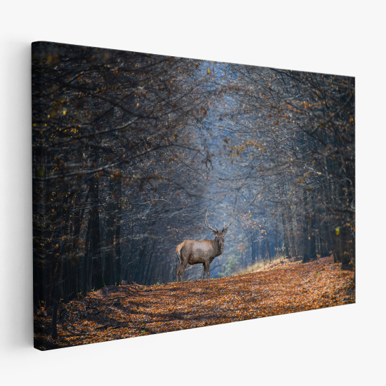 Canvas Print - Deer