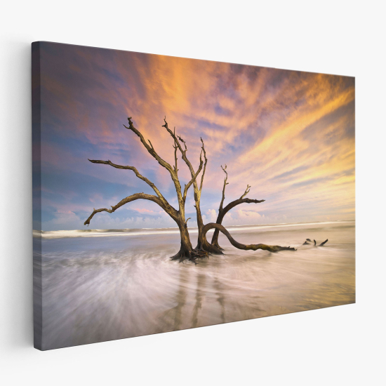 Canvas Print - Driftwood