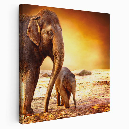 Canvas Print - Elephants