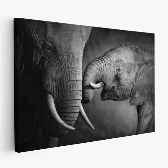 Canvas Print - Elephants