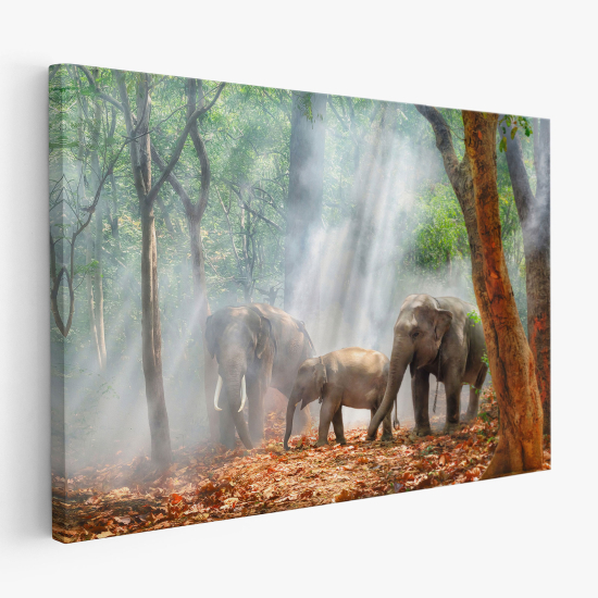 Canvas Print - Elephants