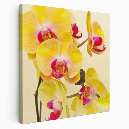 Canvas Print - Flowers