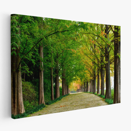 Canvas Print - Forest