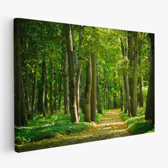 Canvas Print - Forest path