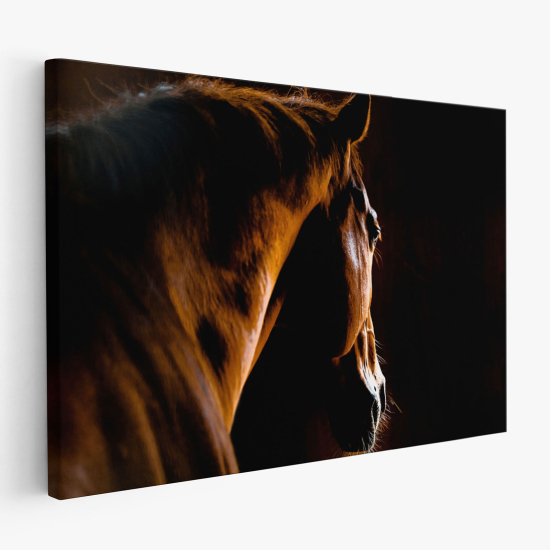 Canvas Print - Horse