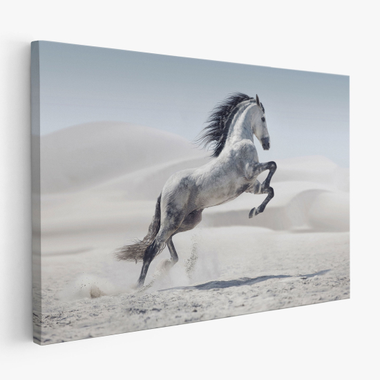 Canvas Print - Horse