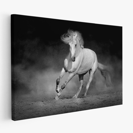 Canvas Print - Horse