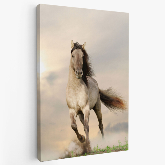 Canvas Print - Horse