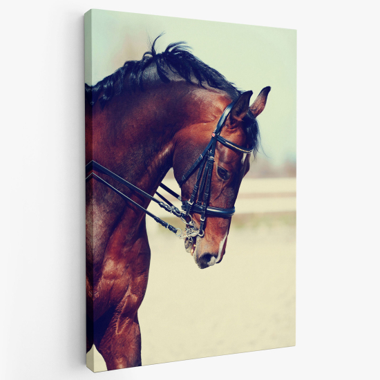 Canvas Print - Horse