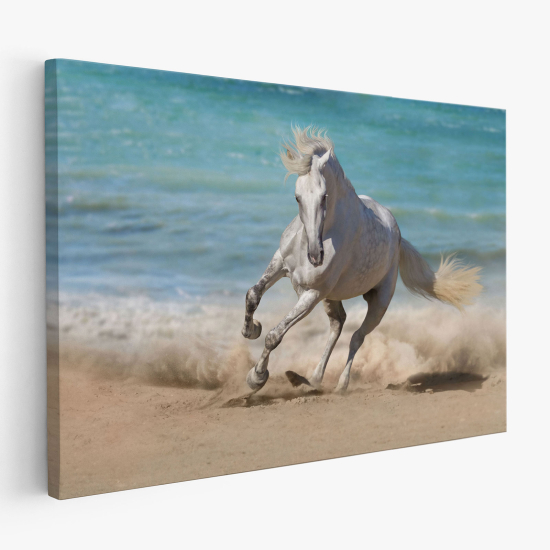 Canvas Print - Horse on the beach