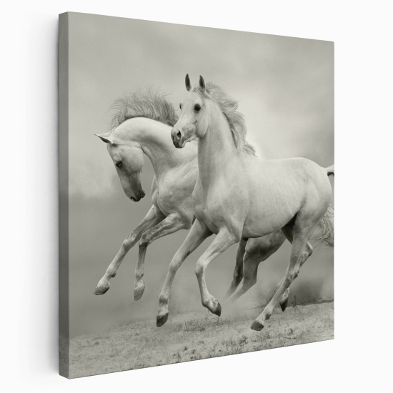 Canvas Print - Horses