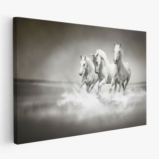 Canvas Print - Horses