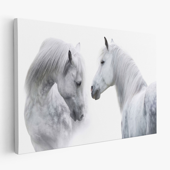 Canvas Print - Horses