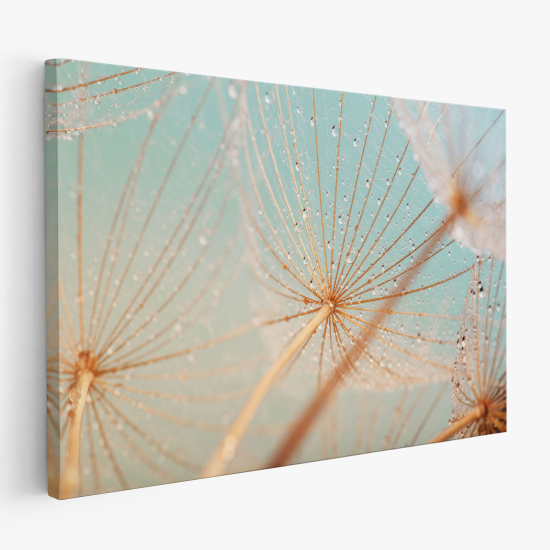 Canvas Print - Nature