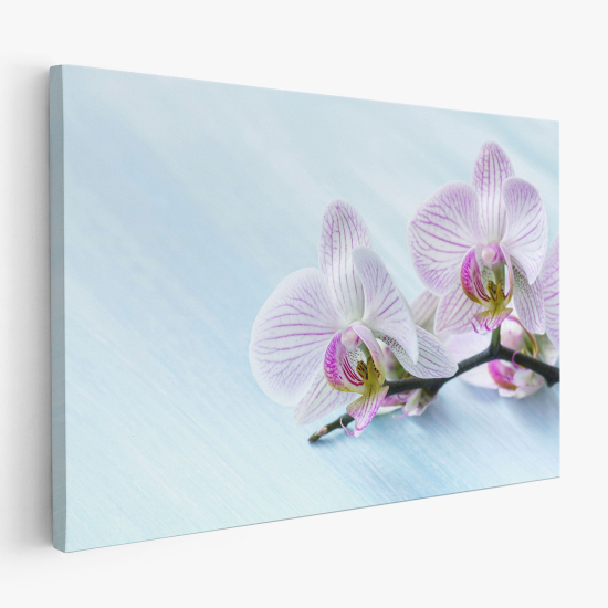 Canvas Print - Orchids