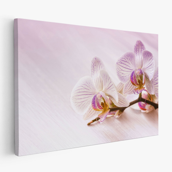 Canvas Print - Orchids