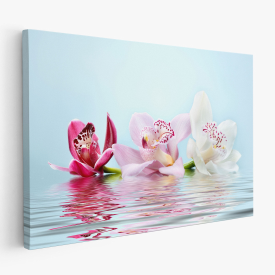 Canvas Print - Orchids