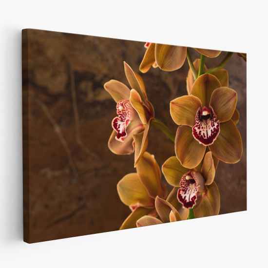 Canvas Print - Orchids