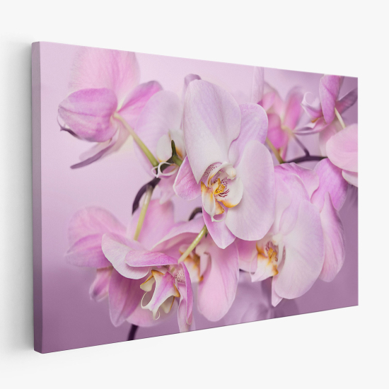 Canvas Print - Orchids