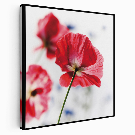 Canvas Print - Poppies