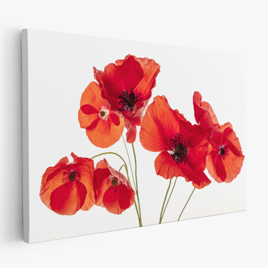 Canvas Print - Poppies