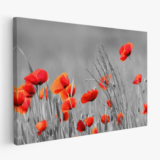 Canvas Print - Poppies