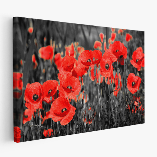 Canvas Print - Poppies