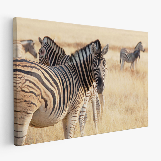 Canvas Print - Savanna Zebras