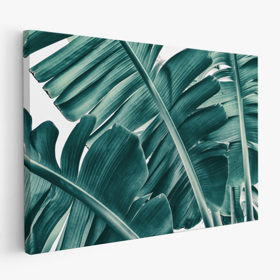 Canvas Print - Tropical Leaves