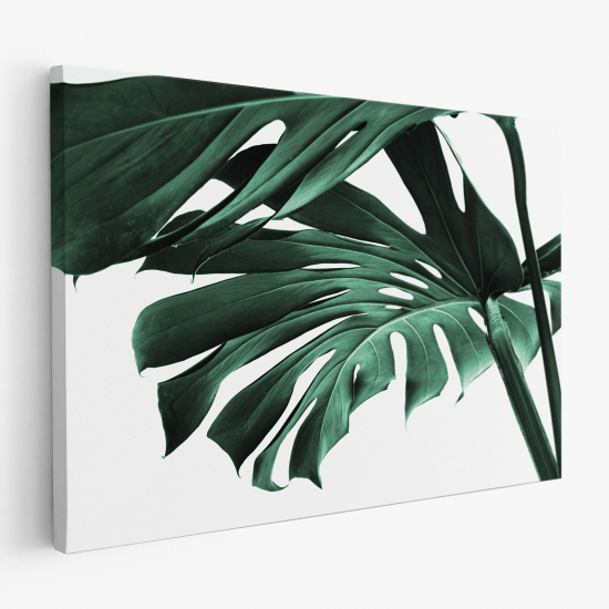 Canvas Print - Tropical Monstera Leaves