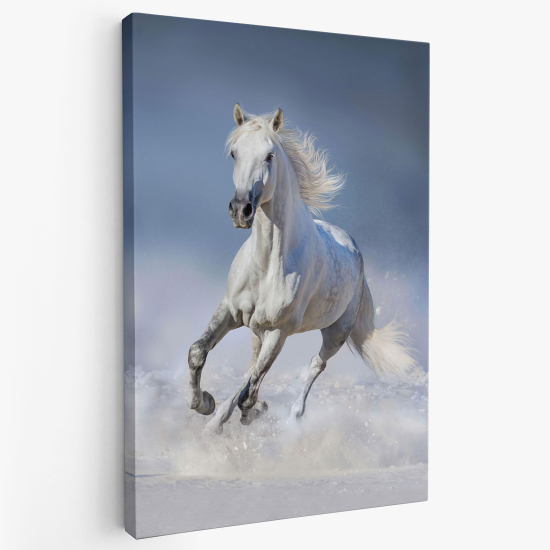 Canvas Print - White horse