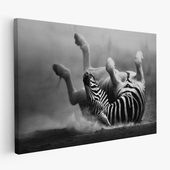 Canvas Print - Zebra