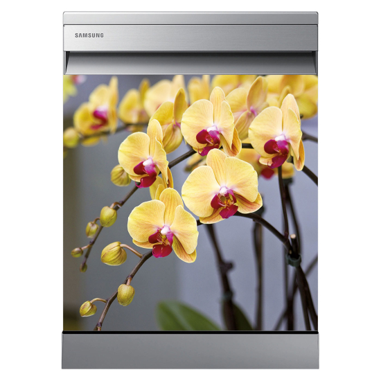 Dishwasher Sticker - Orchids