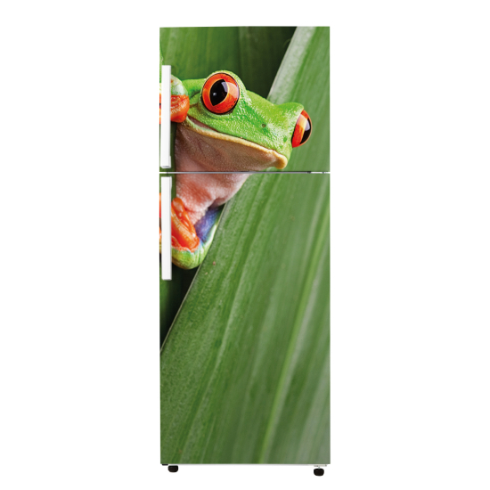 Fridge Sticker - Frog