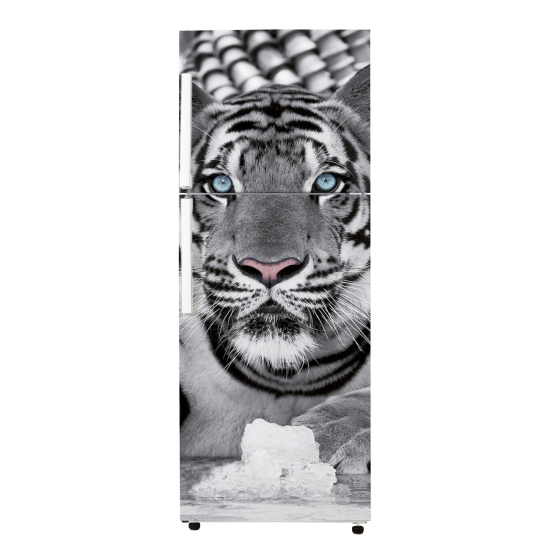 Fridge Sticker - Tiger