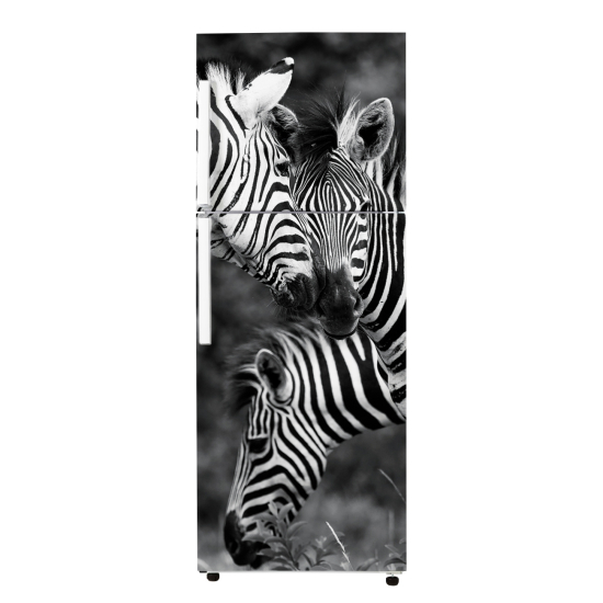 Fridge Sticker - Zebras