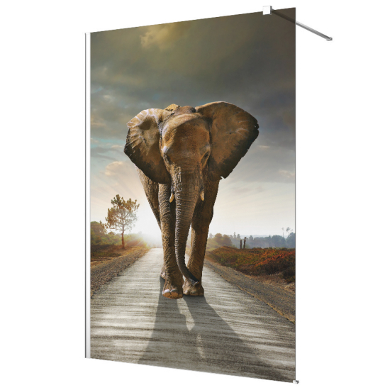 Frosted glass stickers for shower screens and windows - Elephant