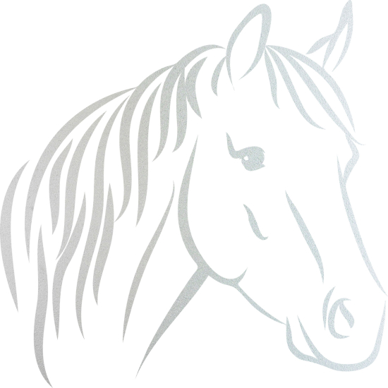 Frosted Window Glass Sticker - Horse head